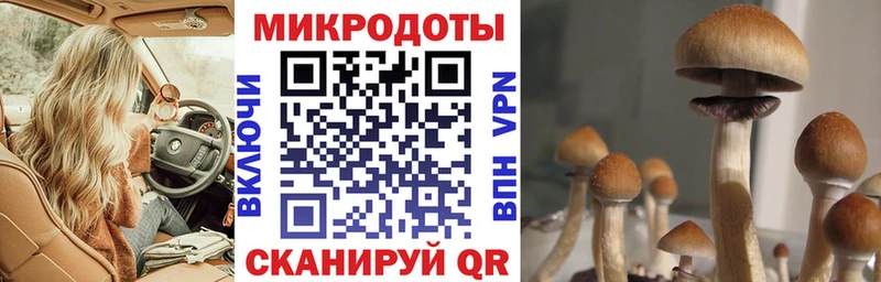 сайты даркнета Telegram  Калязин  Галлюциногенные грибы Cubensis  где можно купить  